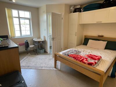 Picture 2